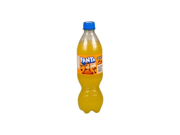 Fanta 0,5L (incl. statiegeld)